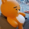 회원님의 사진
