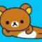 회원님의 사진