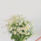 회원님의 사진