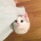 회원님의 사진