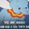 회원님의 사진