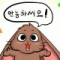 회원님의 사진
