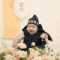 회원님의 사진