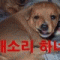 회원님의 사진