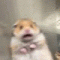 회원님의 사진