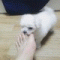 회원님의 사진