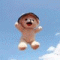 회원님의 사진
