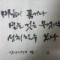 회원님의 사진