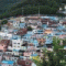 회원님의 사진