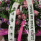 회원님의 사진