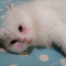 회원님의 사진